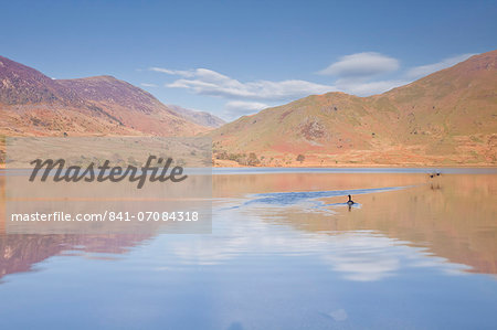 The still waters of Crummock Water in the Lake District National Park, Cumbria, England, United Kingdom, Europe