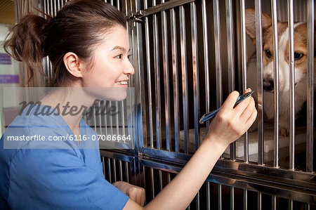 Veterinarian with dog