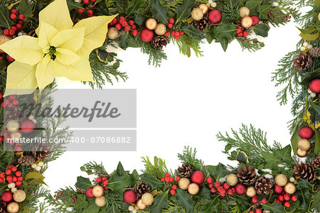 Christmas and winter floral border with lemon yellow poinsettia flower, red and gold baubles, natural holly, mistletoe, ivy, fir leaf sprigs and pinecones over white background.