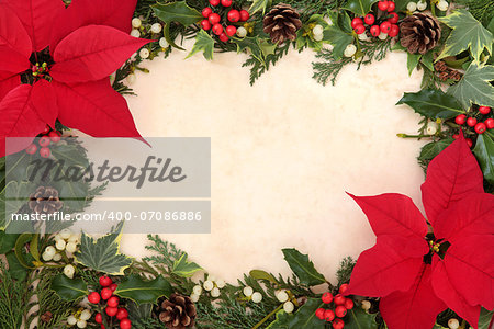 Poinsettia flower border with holly, ivy and mistletoe over old parchment background. Euphorbia pulcherrima