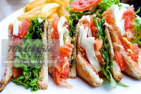 Sandwich with chicken, cheese and golden French fries potatoes