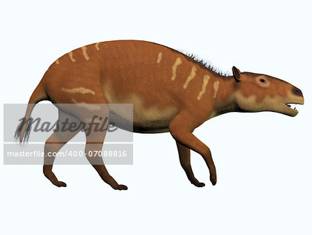 Eurohippus is one of the ancestors of the modern horse and lived in the Eocene Period in tropical forests of Europe.