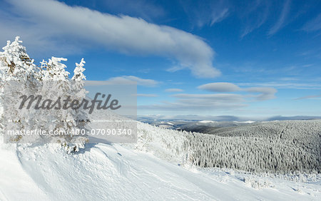 Morning sunny winter mountain landscape (Carpathian, Ukraine).