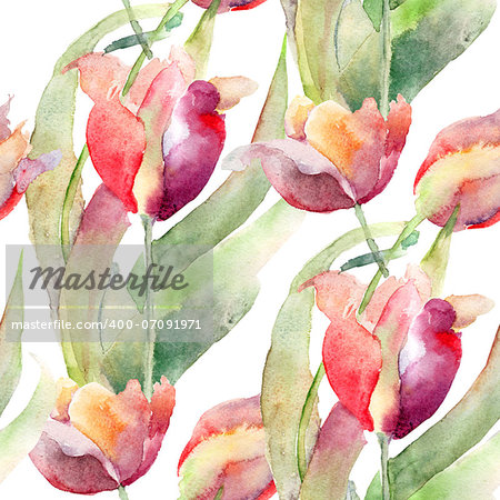 Watercolor illustration of Tulips flowers, seamless pattern