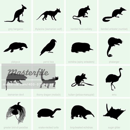 Set of Animal of Australia icons