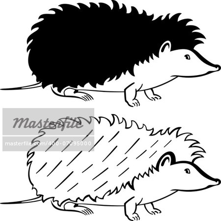 Silhouette hedgehog on white background