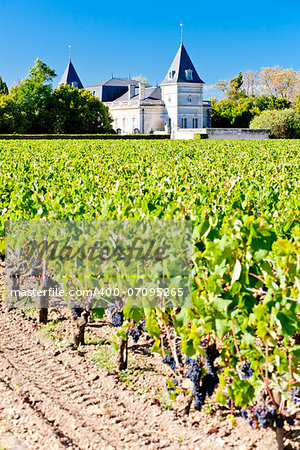 vineyard and Chateau Tronquoy Lalande, Saint-Estephe, Bordeaux Region, France