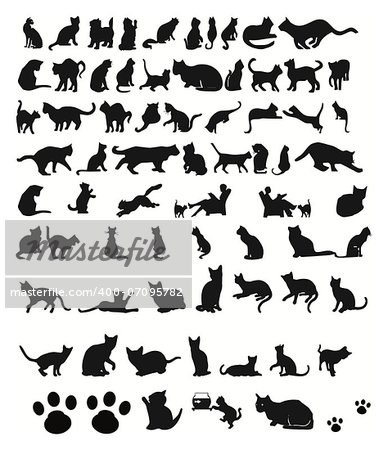 Vector silhouettes of cats