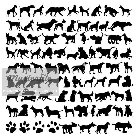 To a variety of vector silhouettes of dogs