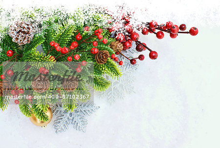 Christmas background with berries and snowflakes