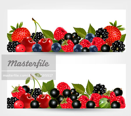 Two banners with delicious ripe berries. Vector.