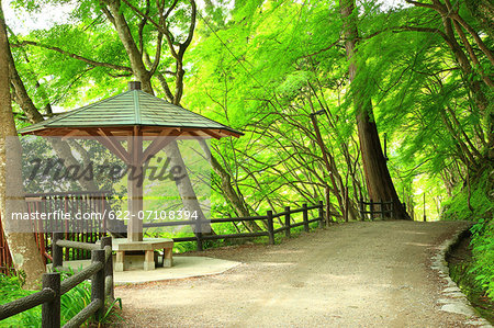 Greenery, Aichi Prefecture