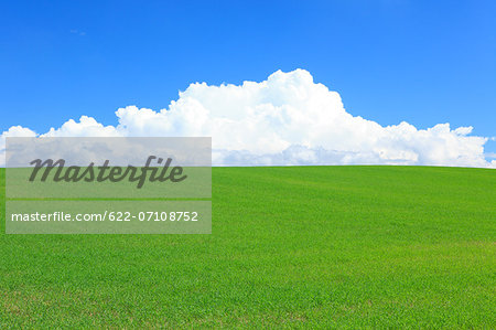 Wheat field and clouds, Hokkaido