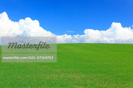 Wheat field and clouds, Hokkaido