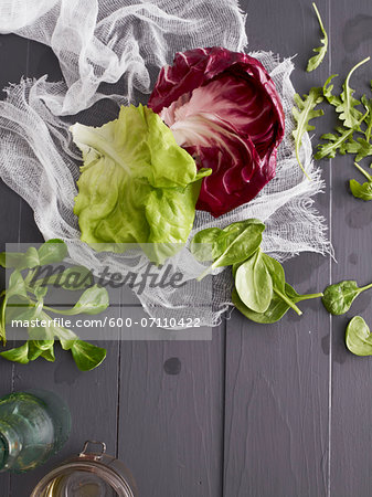 Overhead View of Variety of Lettuce, Studio Shot