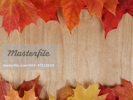 autumn maple leaves on wood surface, horizontal