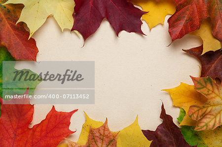 autumn maple leaves on paper surface, horizontal