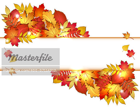 Autumn banner with red leaves. Vector illustration.