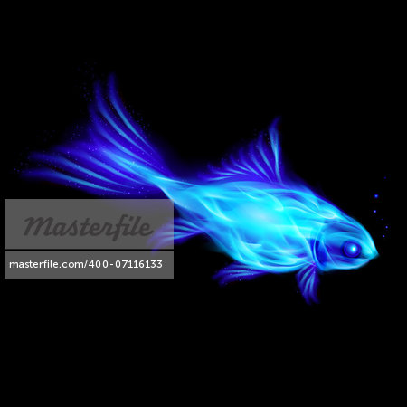 Illustration of blue fire fish on black background.