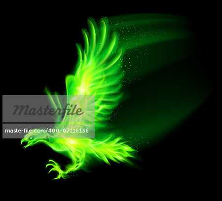 Illustration of green fire hawk on black background.