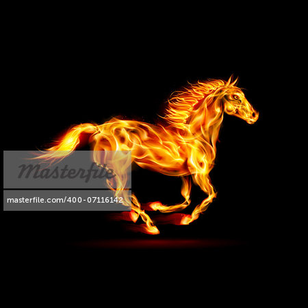 Illustration of running fire horse on black background.