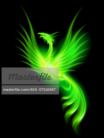 Illustration of green fire Phoenix on black background.