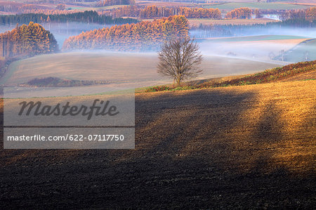 Sunrise in Biei, Hokkaido