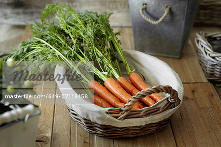 Fresh carrots in basket