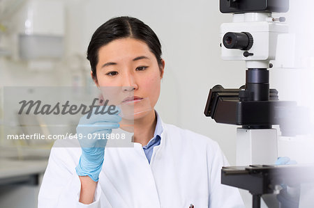 Female scientist working in laboratory with microscope