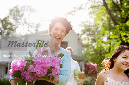 Family Party. A Woman Carrying A Large Bunch Of Rhododendron Flowers, Smiling Broadly.