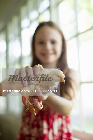 A Young Girl In A Floral Sundress, Holding A Young Chick Carefully In Her Hands.