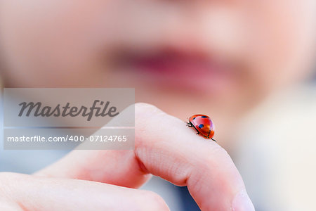 Small child playing with a red ladybug traveling along his finger