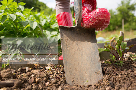 Woman wearing rubber boots working in the garden using a shovel