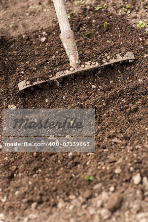 A rake being used on the soil