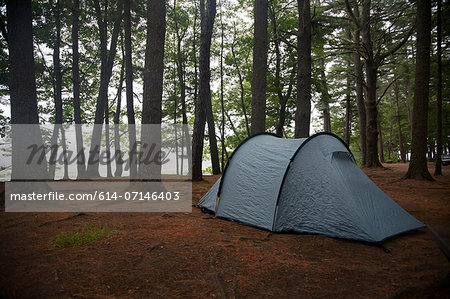 Lone tent in clearing, Bath, Maine, USA