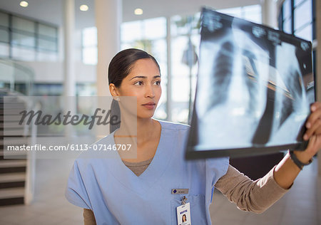 Nurse examining chest x-rays in hospital