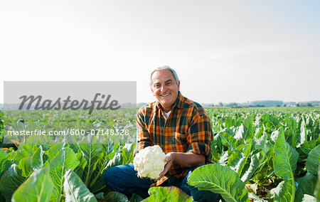 Portrait of farmer in field, holding cauliflower, Germany Portrait of farmer in field, holding cauliflower, Germany