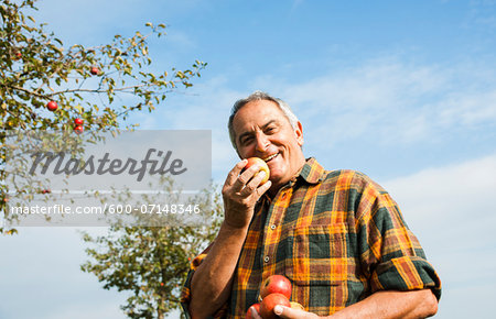 Portrait of farmer holding apples in orchard, Germany