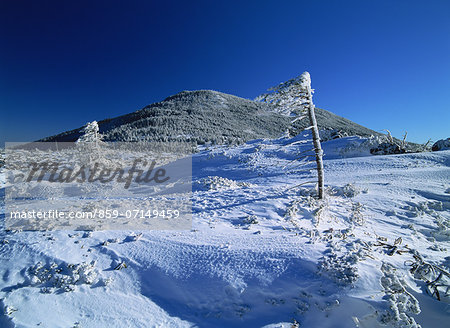 Tateshina Highland, Nagano, Japan