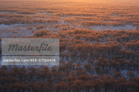 Kushiro Marsh, Hokkaido, Japan