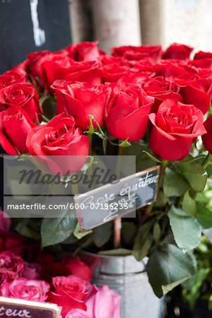 Close-up of bunch of Red Roses for sale, Paris, France