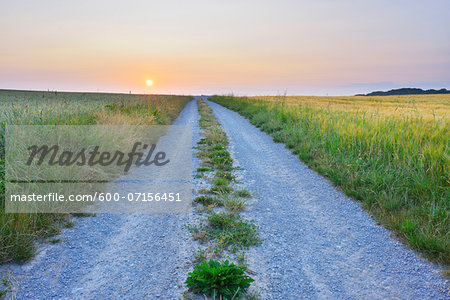 Field Path at Sunrise in Summer, Arnstein, Franconia, Bavaria, Germany