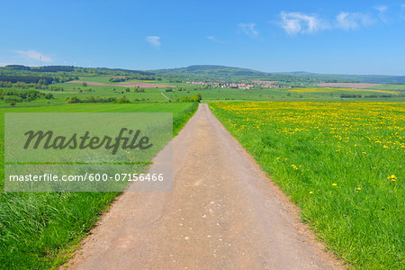 Field Path through Meadow in Spring, Grebenhain, Hesse, Germany