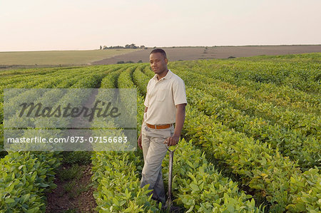 Man standing in vegetable field with hoe