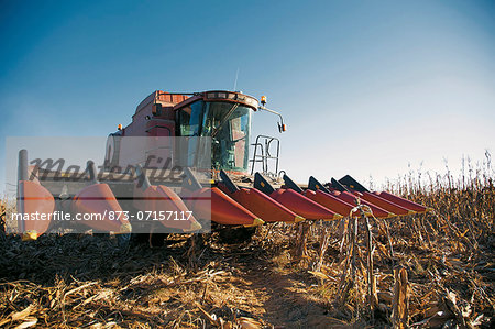 Agriculture, Maize Harvester