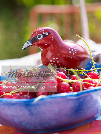 Redcurrants in bowl with red bird