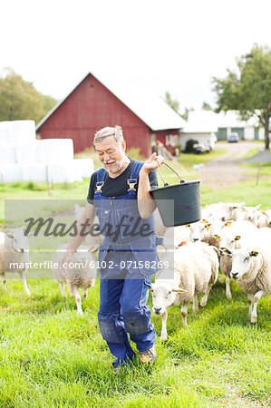 Senior farmer working on pasture, Smaland, Sweden