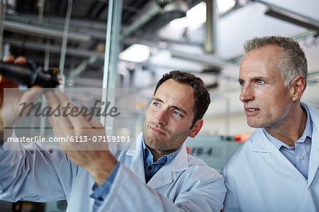 Scientists working in laboratory