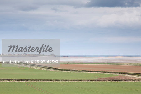 Rural pastures with ocean in background Rural pastures with ocean in background
