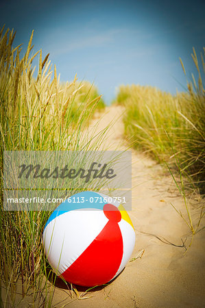 Beach ball in beach grass